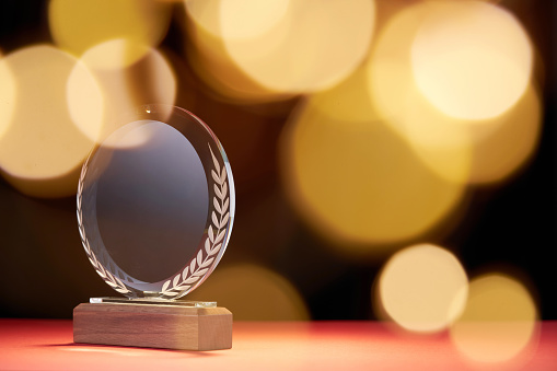 Future Electronics Award